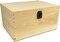 Large Unfinished Wood Box with Hinged Lid and Front Clasp for Arts, Crafts, Hobbies and Home Storage, 10.62" x 7.87" x 5.51"